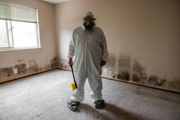 Best Toxic Mold Removal  in Fox Lake, WI